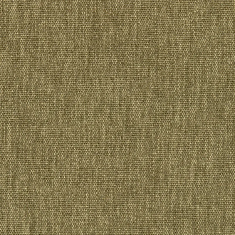 Maharam - Métaphore - 466553.026 Saguaro