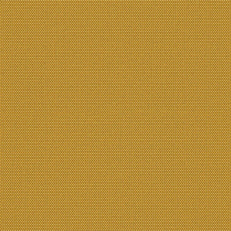 Maharam - Devise - 466658.010 Aurum