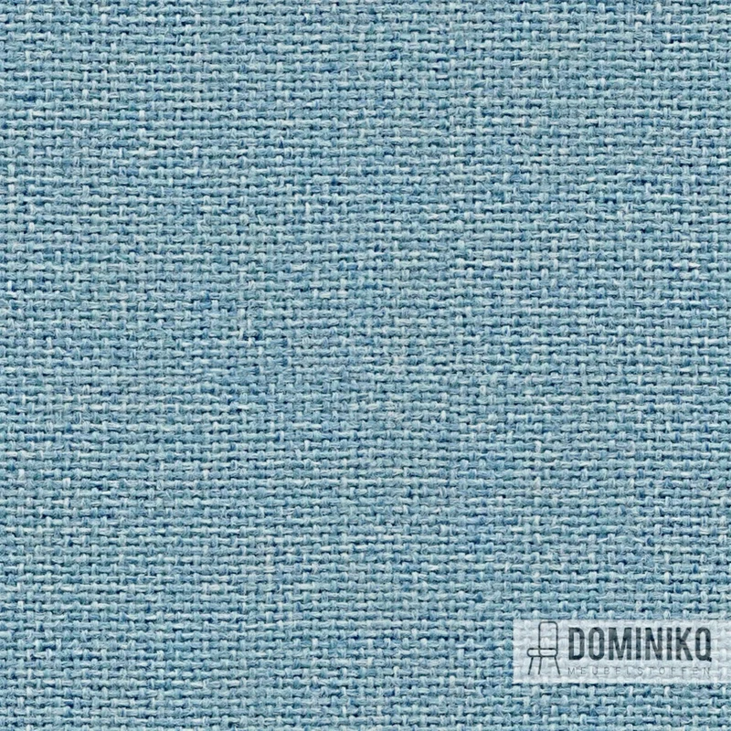 Camira - Cara - EJ105 - Dauphin