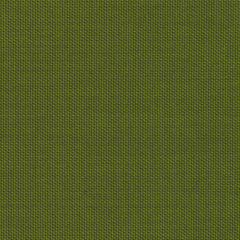 Rohi - Topia - 01735.33 Palm