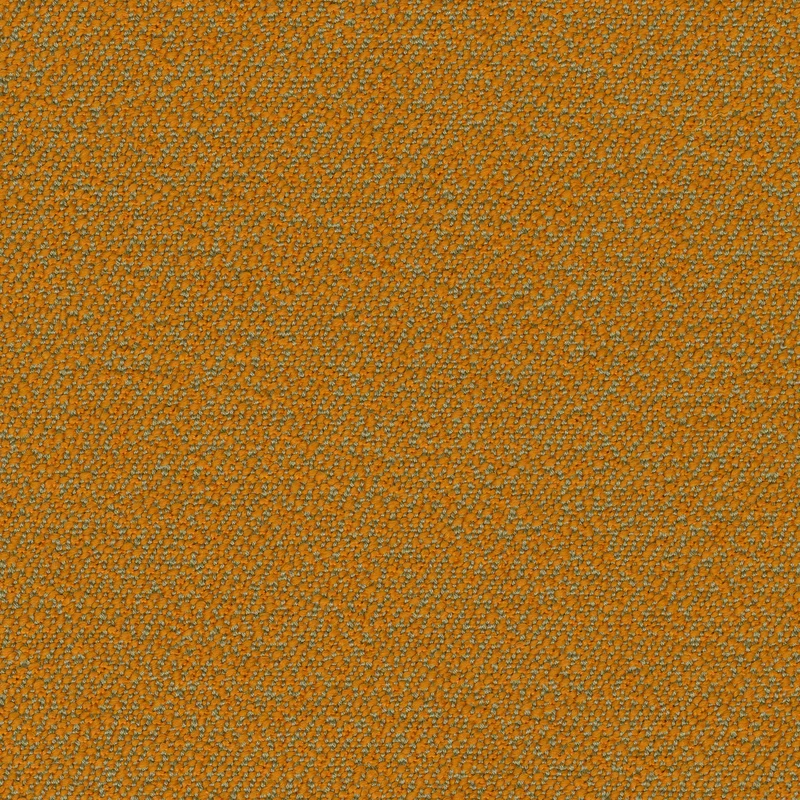 Rohi - Sera - 01806.19 Chutney