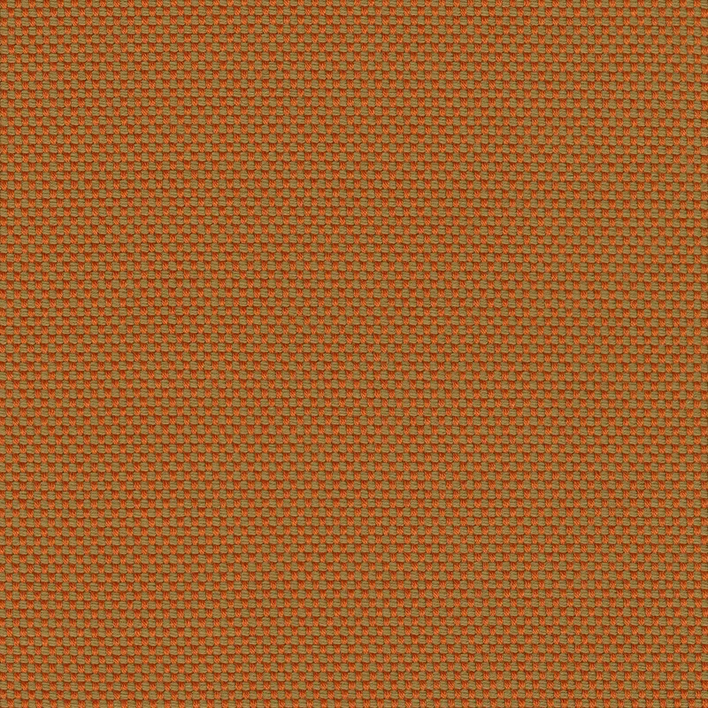 Rohi - Novum - 01700.22 Terra