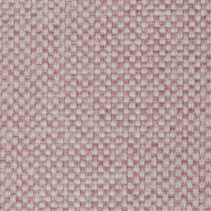 Vyva Fabrics - Globe - 14203 Blossom