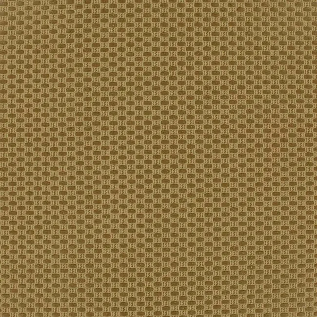 Aristide - Rotin - 330 pièces d'or
