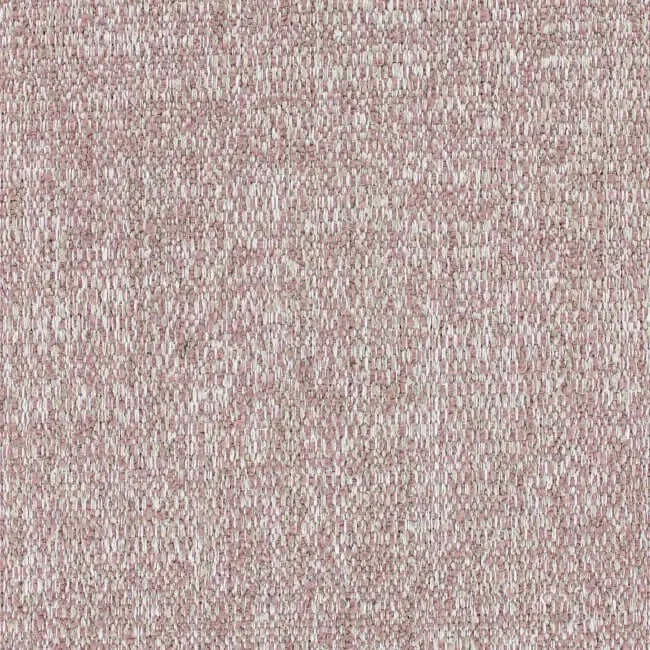 Aristide - Romulus - 500 Poussière de Rose