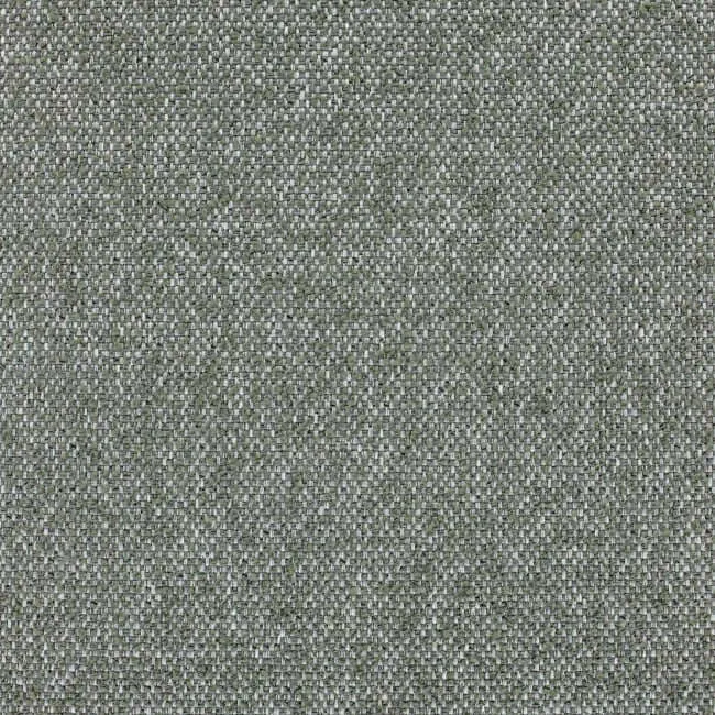 Aristide - Rémus - 765 Olive