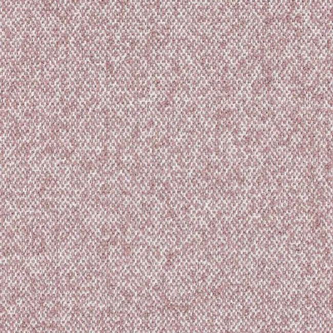 Aristide - Remus - 500 Poussière de Rose