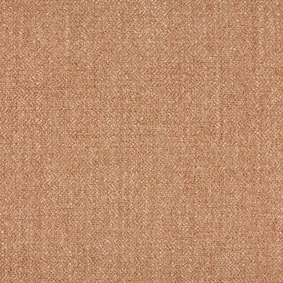Aristide - Nara - 400 saumons