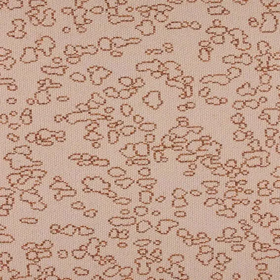 Aristide - Clio - 400 Saumon
