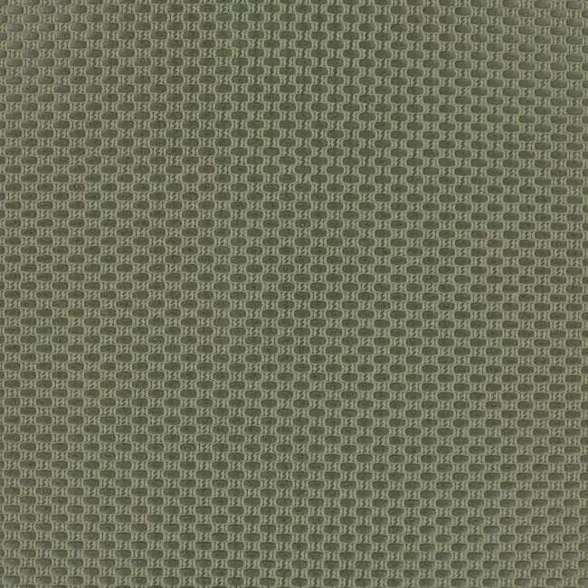 Aristide - Rotin - 765 Olive