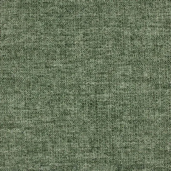Aristide - Boris - 781 Moss