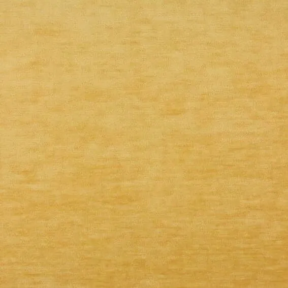 Aristide - Lobo - 310 Bouton d'Or