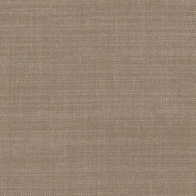 Aristide - Isolde à 765 Olive