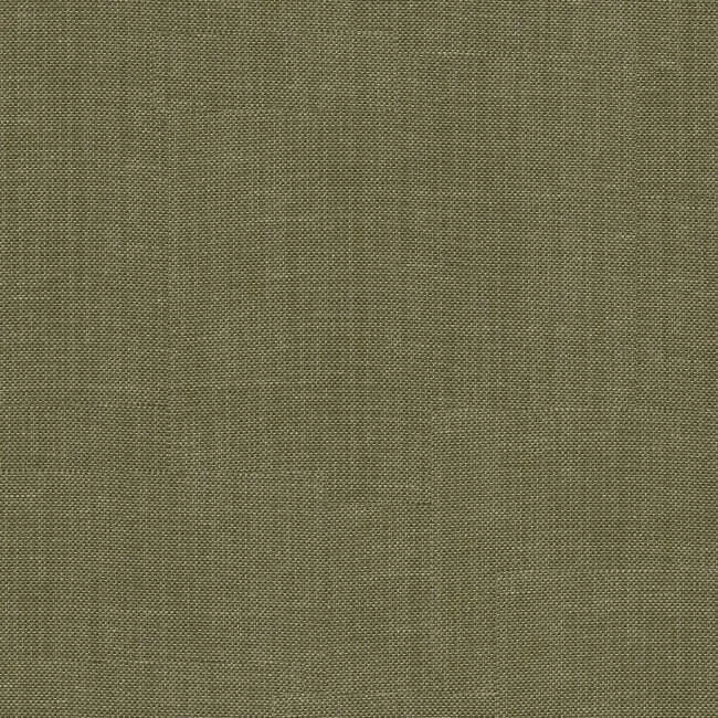 Aristide - Isolde - 720 Endives