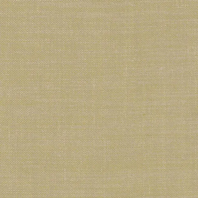 Aristide - Isolde - 300 Jaune Doux