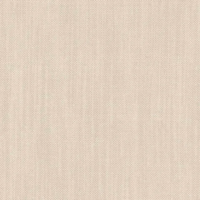 Aristide - Isolde - 215 Champagnes