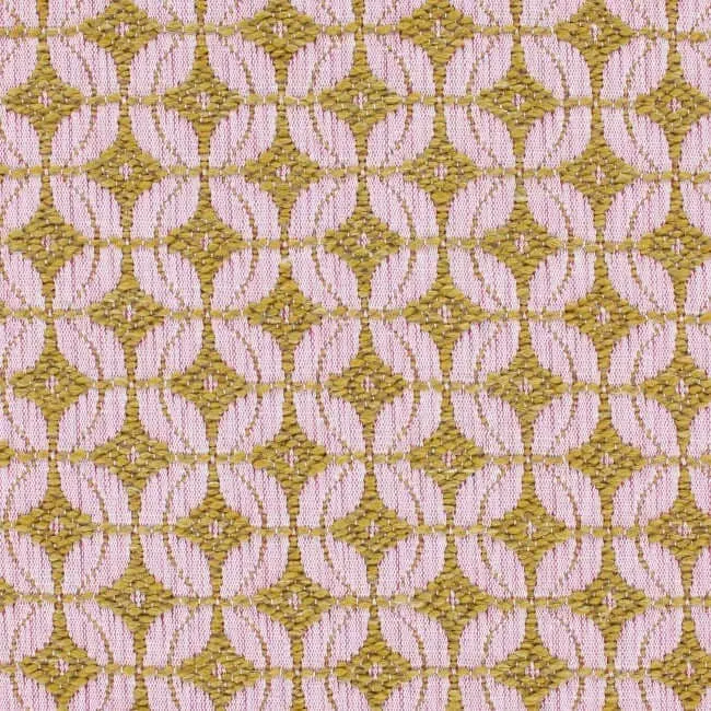 Aristide - Golo - 500 Poussière de Rose