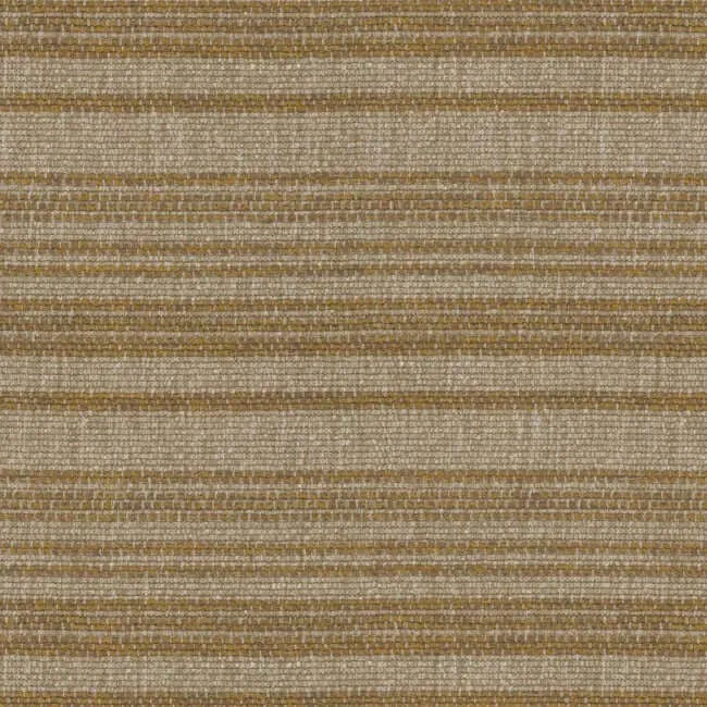 Aristide - Corda - 361 °Camel