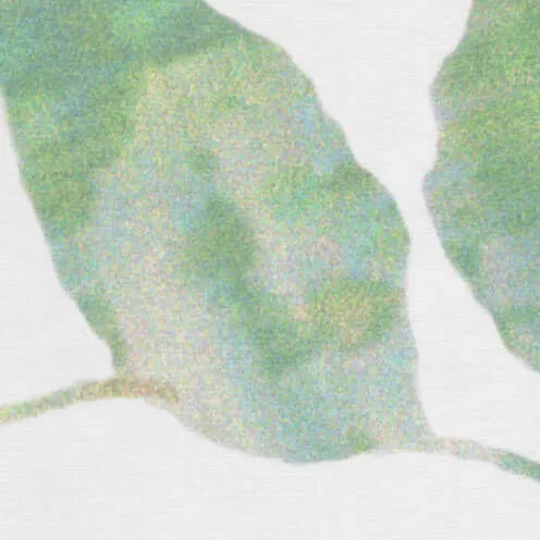 De Ploeg - Kendix - Floraison printanière - 05