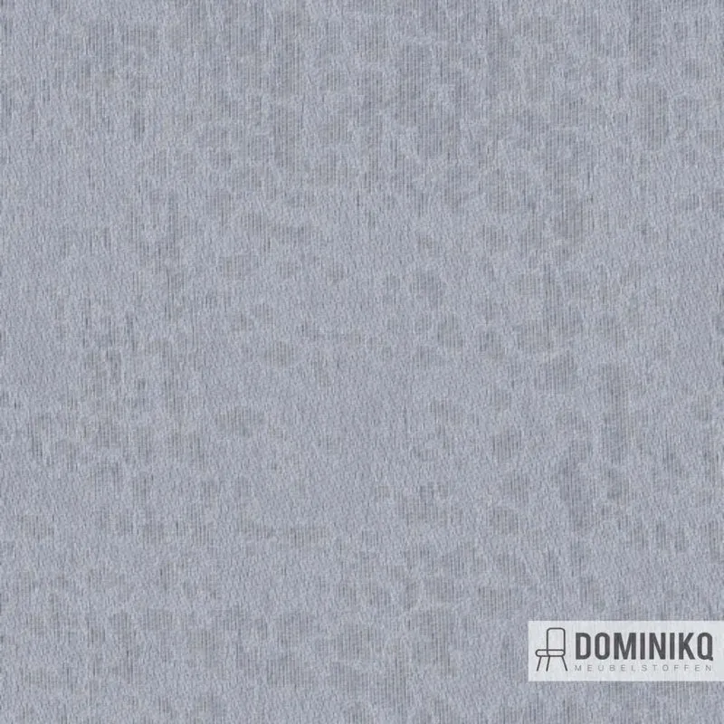 De Ploeg - Kendix - Racine à 08