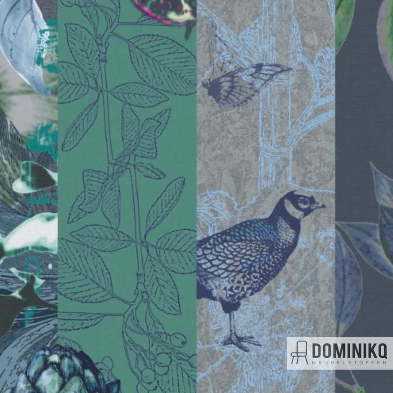 De Ploeg - Kendix - Paradis à 50