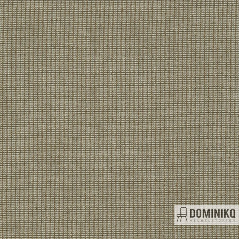De Ploeg - Kendix - Lace à 70