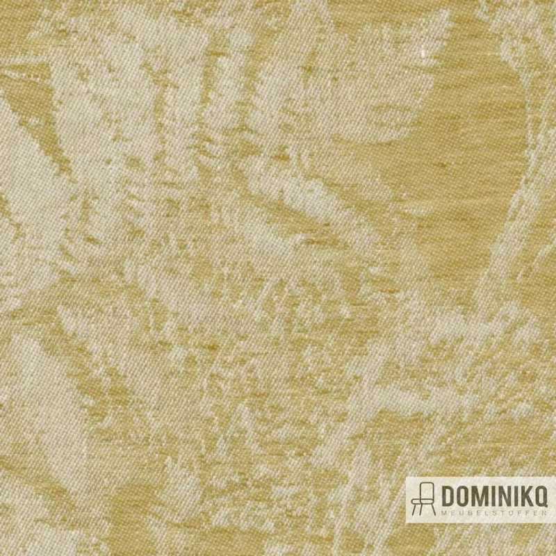 De Ploeg - Kendix - Fir à 06