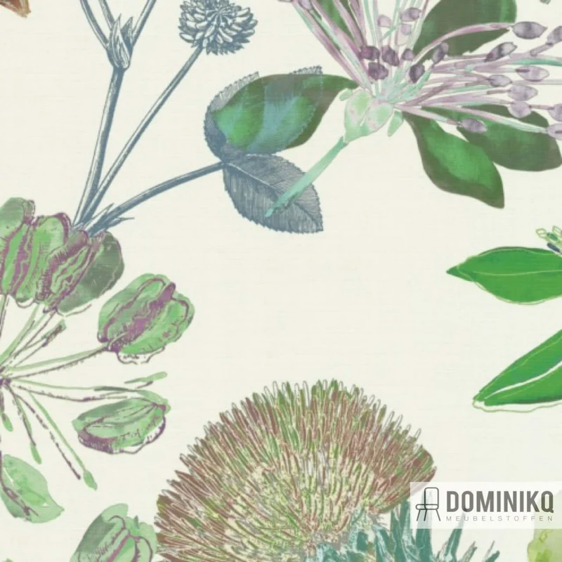 De Ploeg - Kendix - Fiore-U à 55