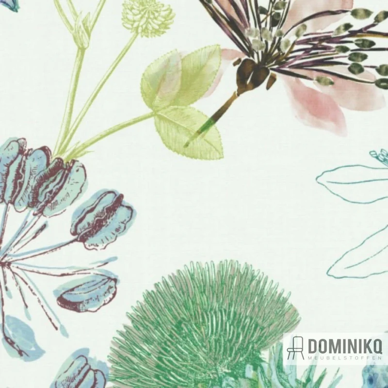 De Ploeg - Kendix - Fiore-U à 41