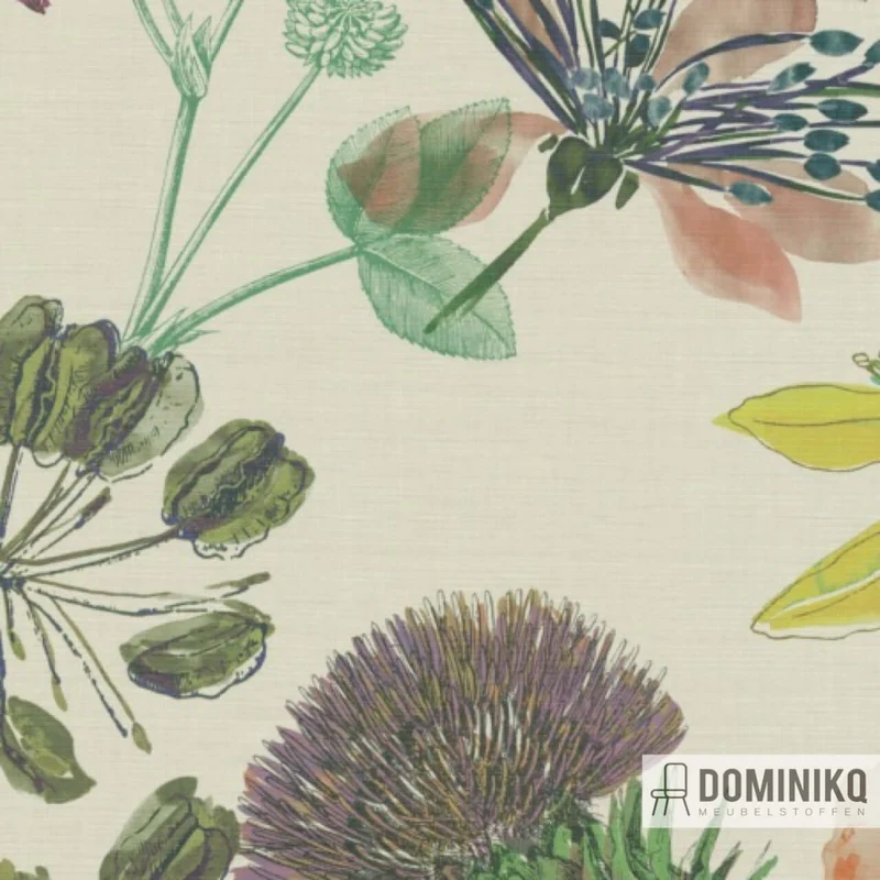 De Ploeg - Kendix - Fiore-U à 15