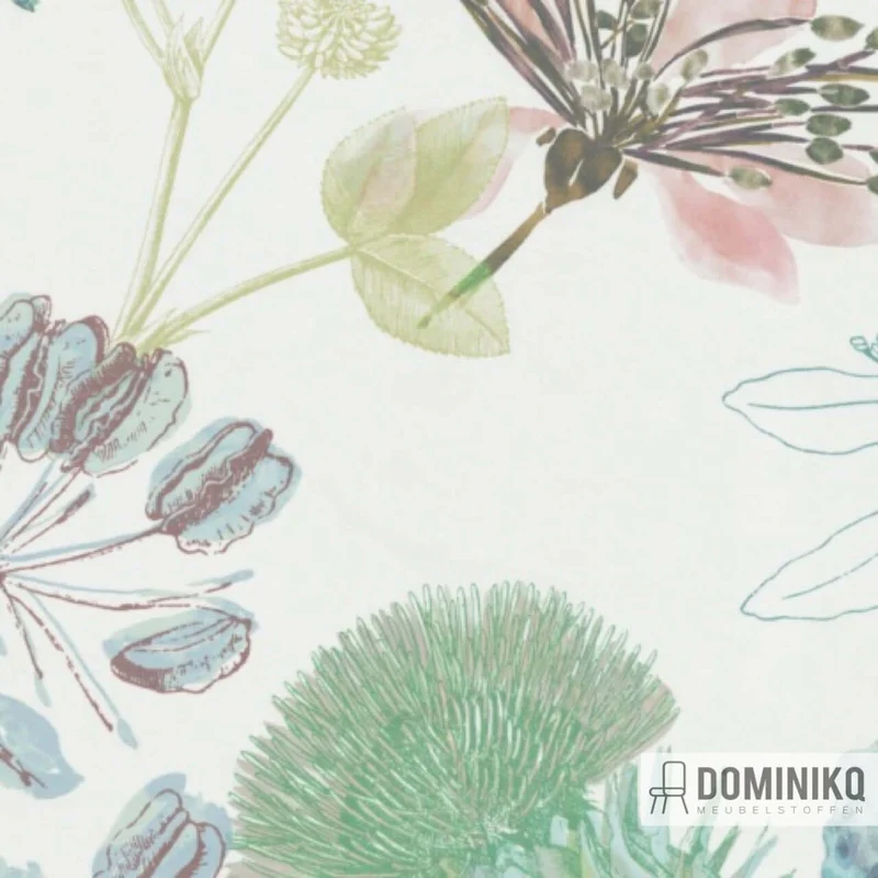 De Ploeg - Kendix - Fiore-T à 45