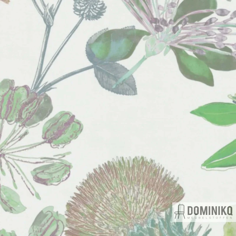De Ploeg - Kendix - Fiore-T à 53