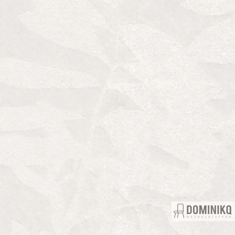 De Ploeg - Kendix - Elder à 01