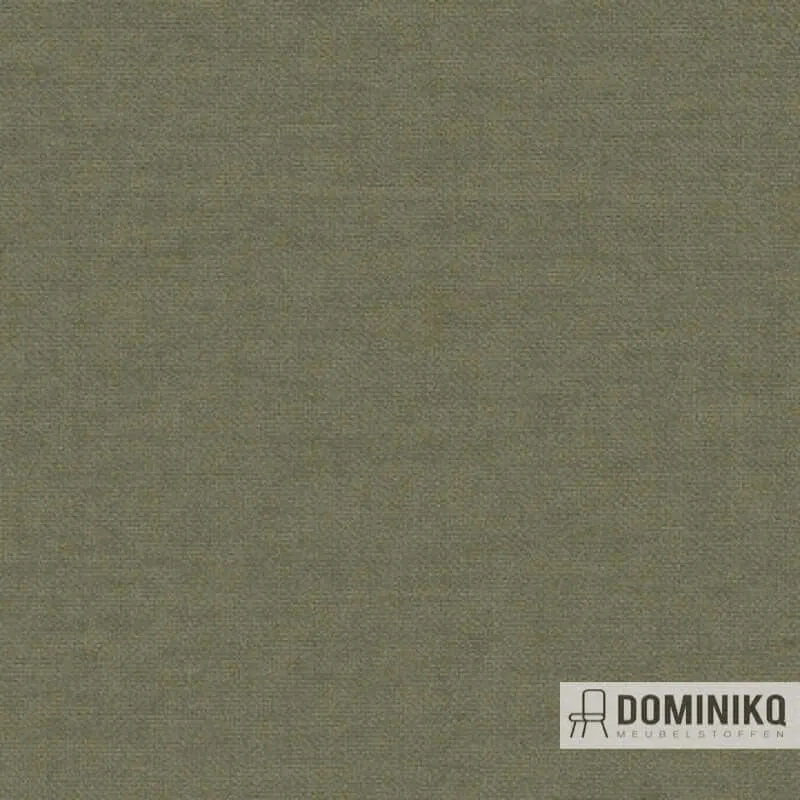 Aristide - Arthur II-765 Olive