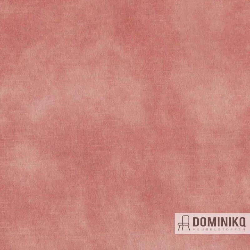 Aristide - Markle - 400 Saumon (Coupon p.m)