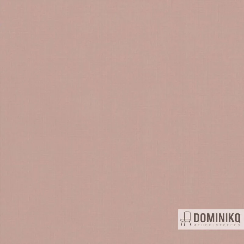 De Ploeg - Kendix - Juno à 19