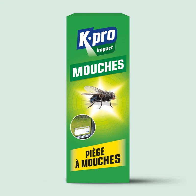 Pièges à mouches