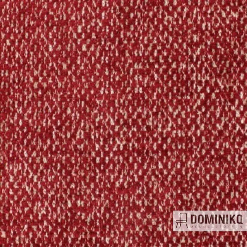 Aristide - William - 545 Rubis
