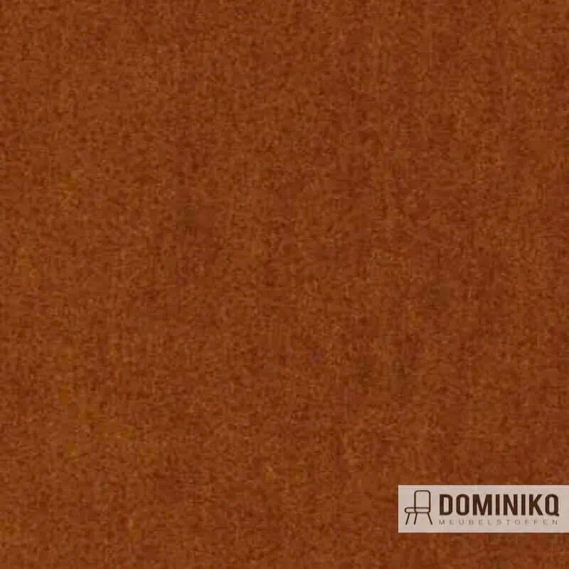 Aristide - Angora - 350 Ocre