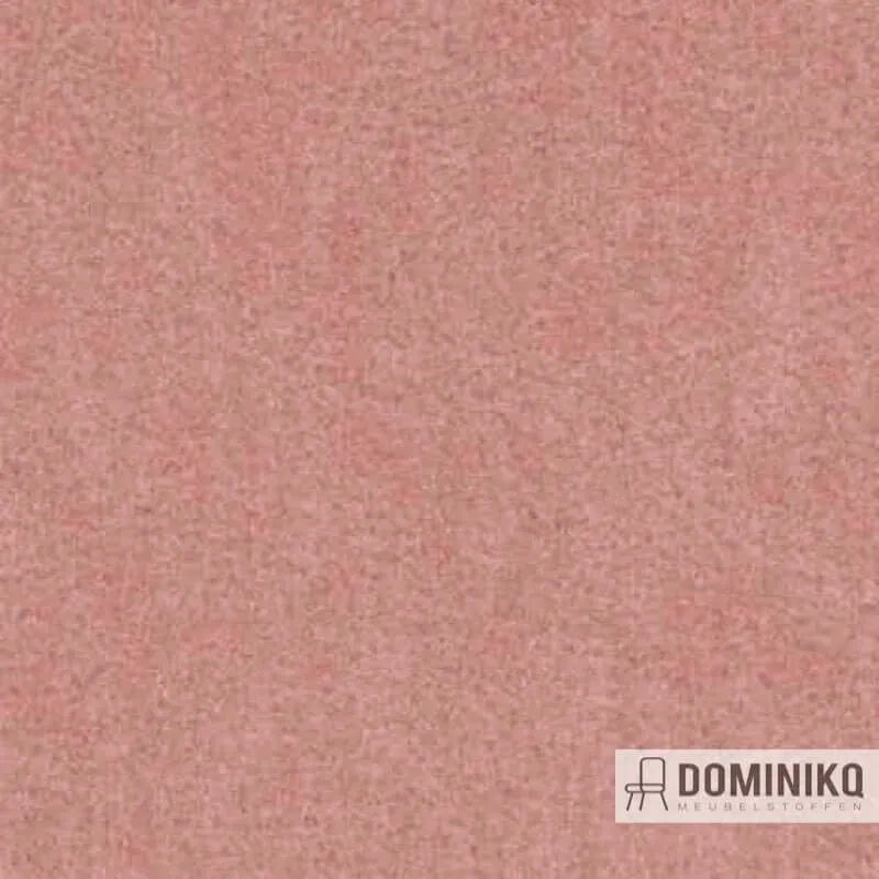 Aristide - Angora - 500 Poussière de rose