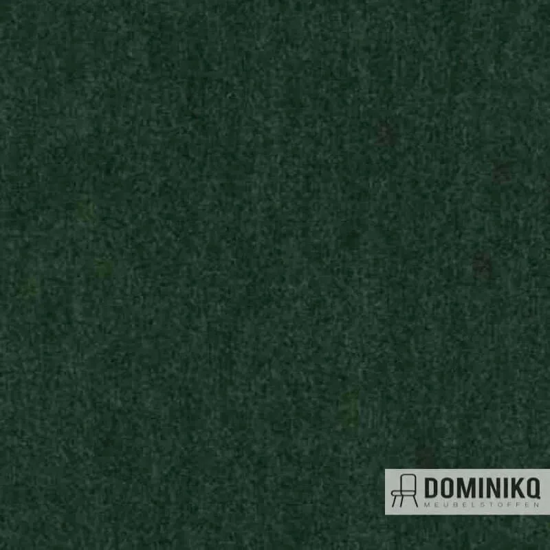 Aristide - Angora - 775 Vert Bouteille