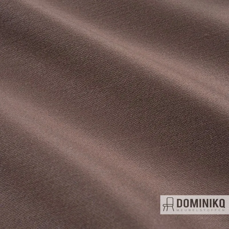 Bute Fabrics - Coast CF944 - 809 Truffe*