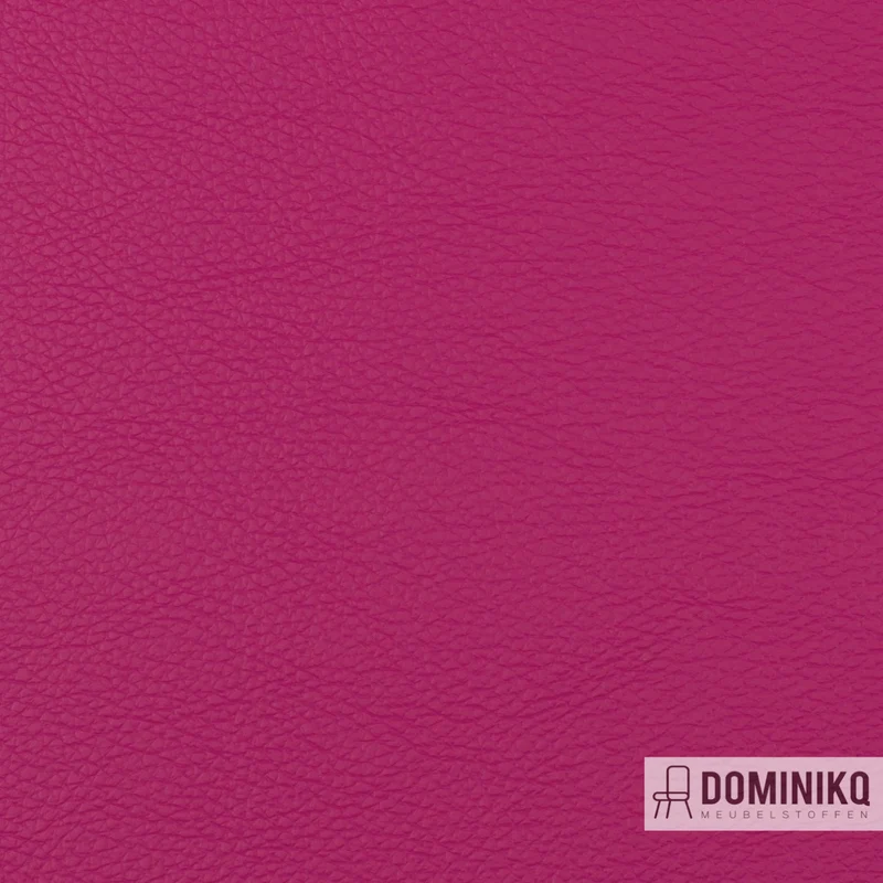 Vyva Fabrics - Populaire - 4247 - Paloma