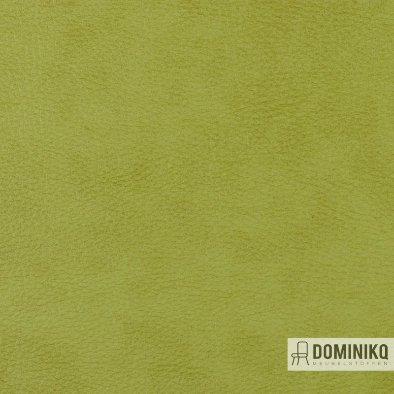 Vyva Fabrics - Popolare - 4263 - Courgettes