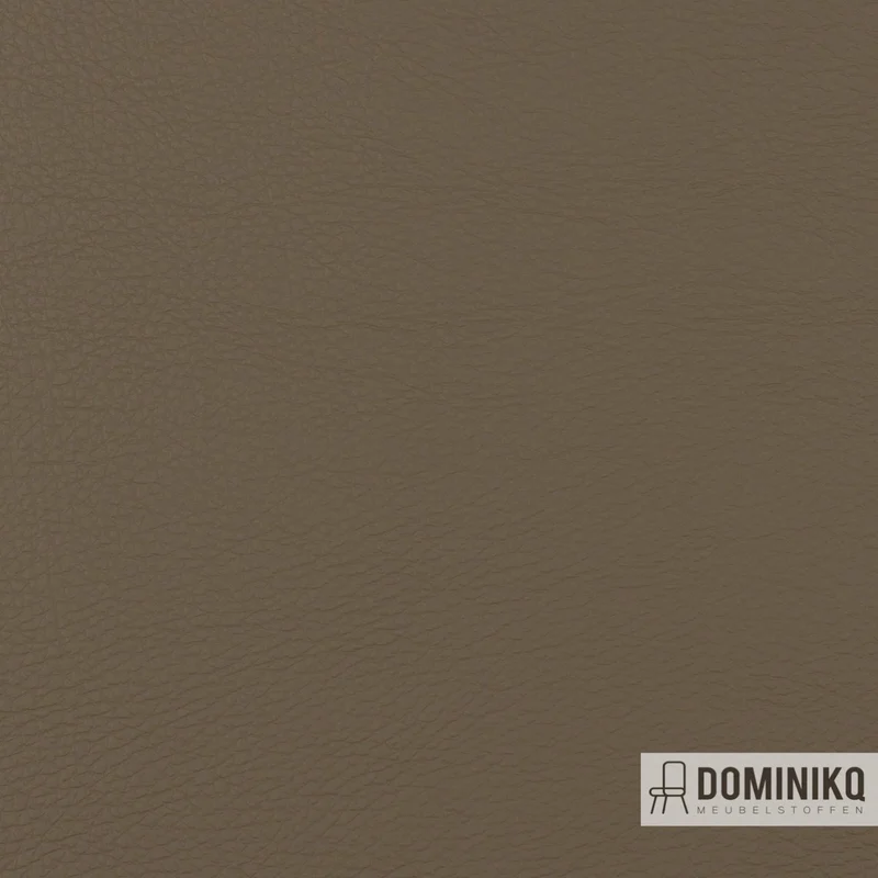 Vyva Fabrics - Populaire - 4270 - Funghi
