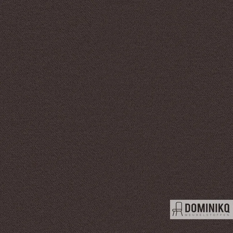 Camira - Regent - Ambassadeur REG26