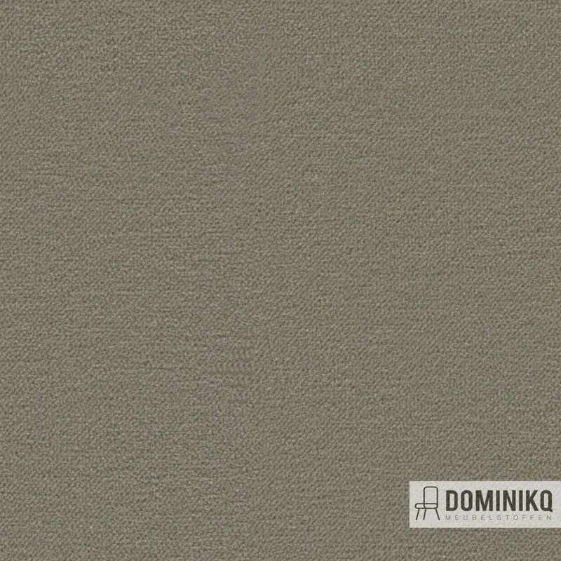 Camira - Regent - REG23 Marquis