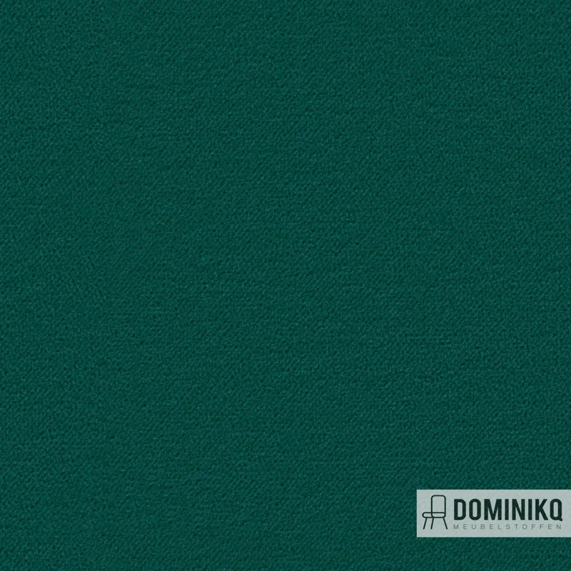 Camira - Regent - Récital REG19