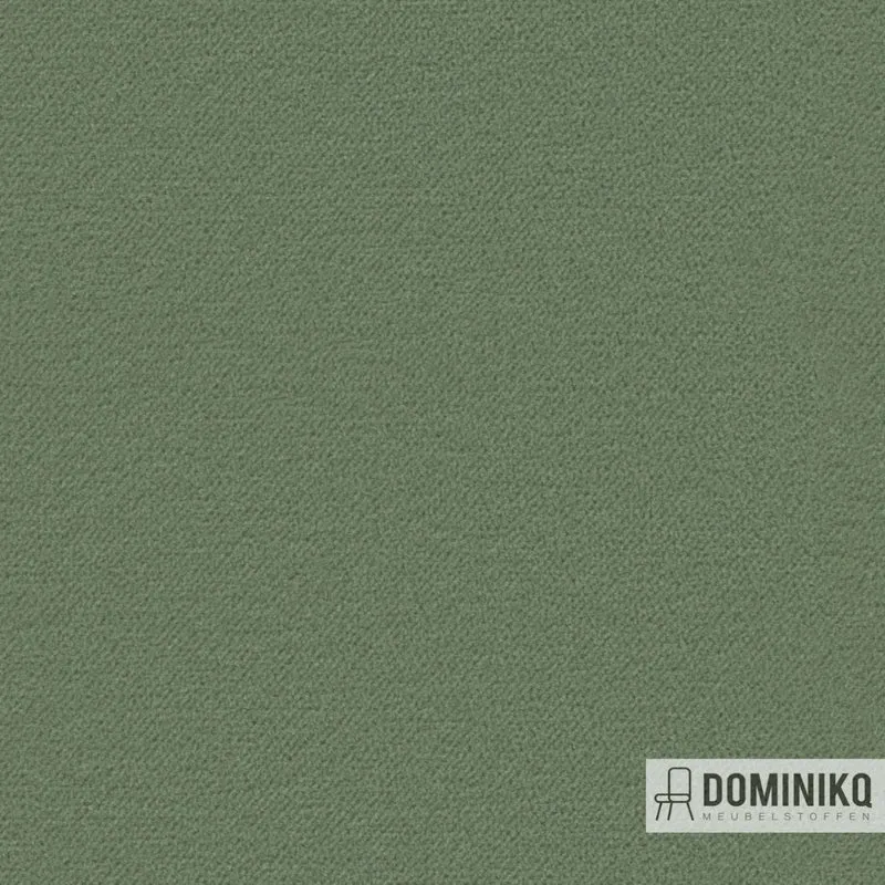 Camira - Regent - Orchestre REG18