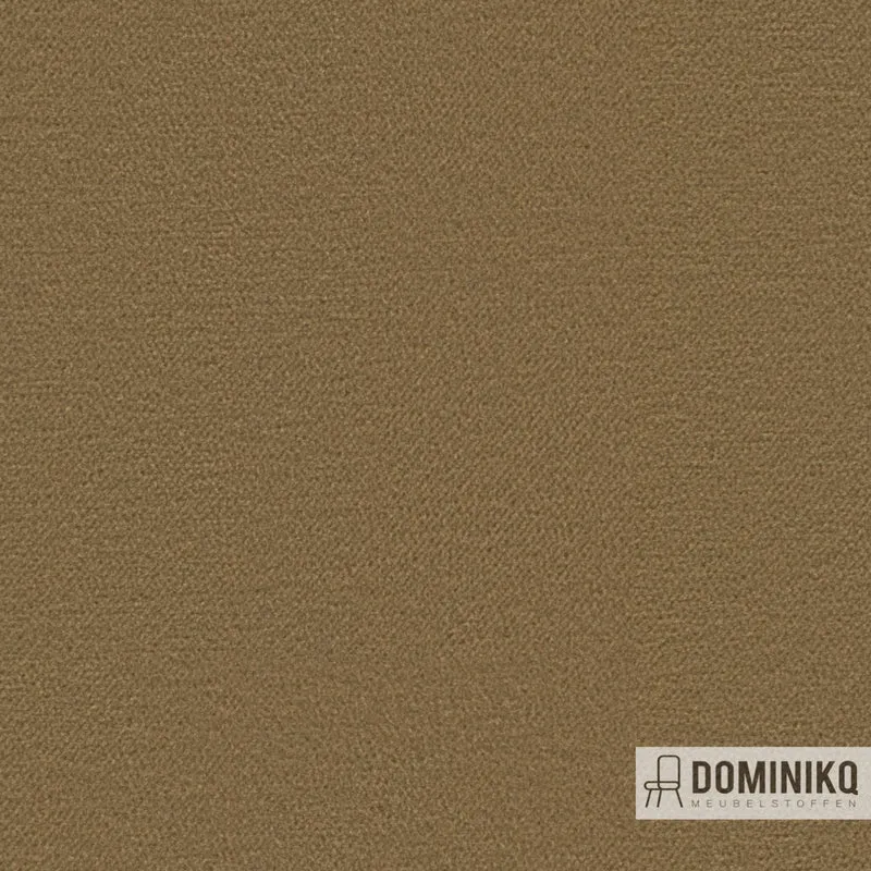 Camira - Regent - REG11 Wyndhams